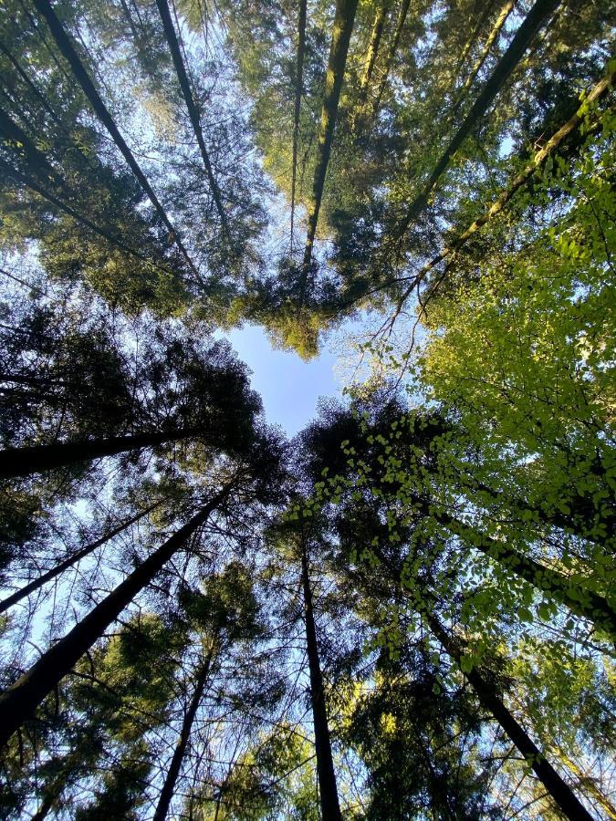 Camping De La Foret Seasonova Sillé-le-Guillaume Zewnętrze zdjęcie