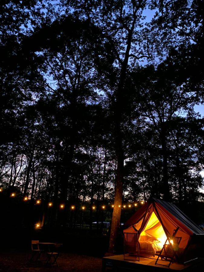Camping De La Foret Seasonova Sillé-le-Guillaume Zewnętrze zdjęcie